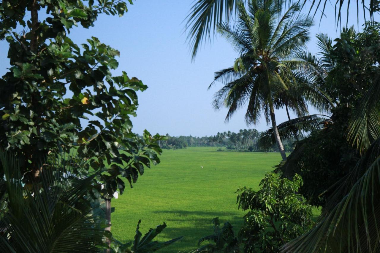Hotel Nilketha Yala Tissamaharama Exterior foto